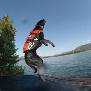 EzyDog Seadog Hunde-Schwimmweste, Größe S, rot