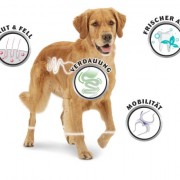8in1 Fillets Pro Skin&Coat, funktionale Leckerlies für Hunde zur Unterstützung eines glänzenden Fells und gesunder Haut, Größe S, 4er Pack (4 x 80g)