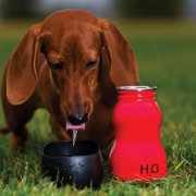 H2O4K9 SS95 Edelstahl Trinkflasche für Hunde, silber, 280 ml
