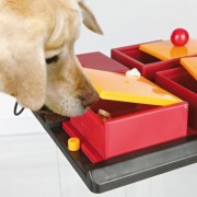 Trixie 32012 Dog Activity Poker Box Hundespielzeug, 31 × 10 × 31 cm