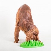 Anti Schling Napf green für Hunde + Katzen Freßnapf Futternapf Hundenapf - in grün
