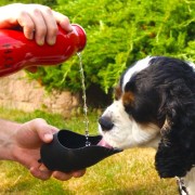 H2O4K9 RED25-1 Edelstahl Trinkflasche für Hunde, rot, 750 ml